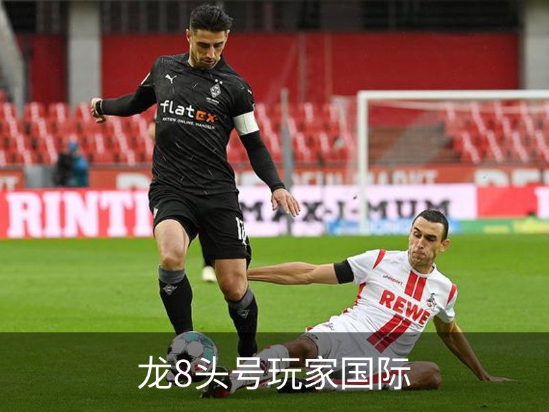 龙8头号玩家国际简介